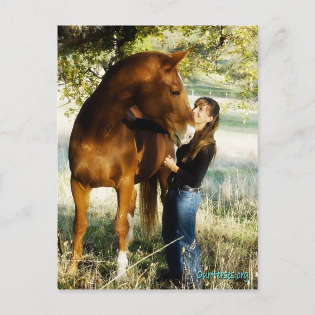 Sundance Stormy Postcard Postkarte (Vorderseite)