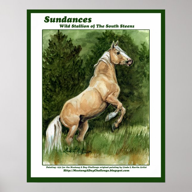 Sundances Wilder Hengst der Südländer Poster (Vorne)