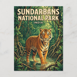 Sundarbans-Nationalpark Indien Postkarte