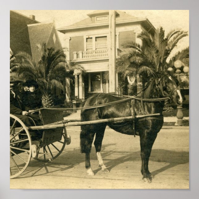 Sunday Best Poster (Vorne)