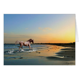 Sunderland - Seaburn Strand