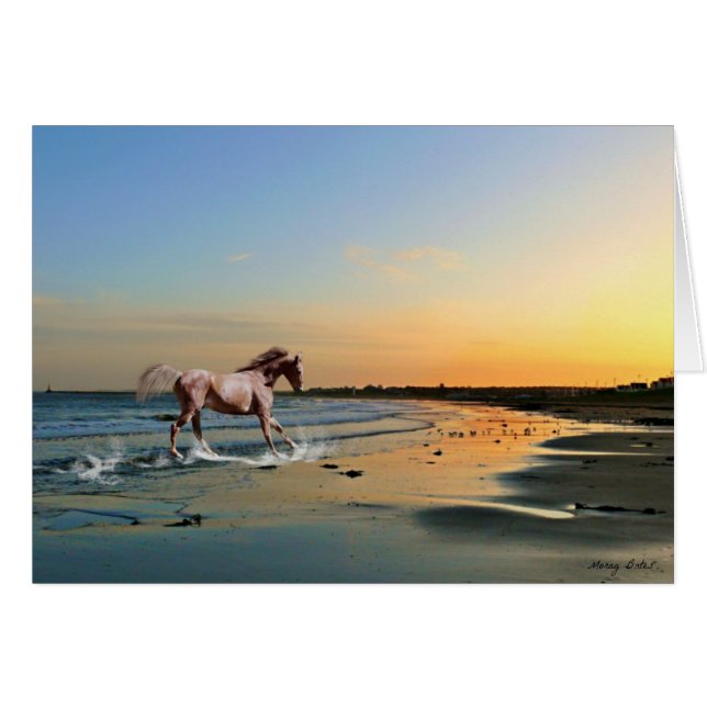 Sunderland - Seaburn Strand (Vorderseite (Horizontal))