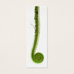Sundew Wedel-Lesezeichen