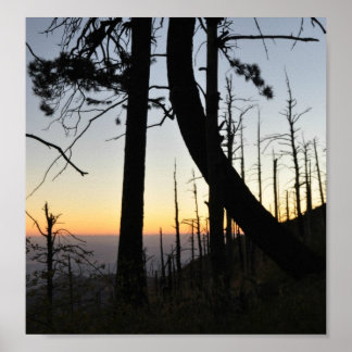 Sundown Silhouette Poster