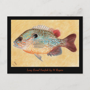 Sunfish Art Card Postkarte