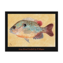 Sunfish Art Card