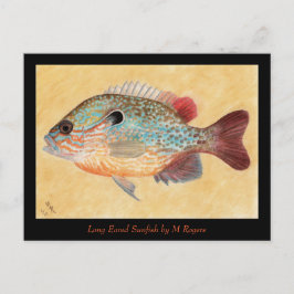 Sunfish Art Card Postkarte