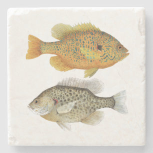 Sunfish-Auftragmaschine Steinuntersetzer