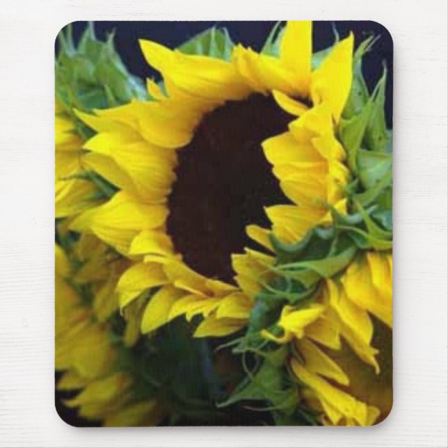 Sunfllower Studie durch debbieophotography Mousepad (Vorne)