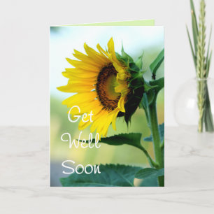Sunflower 703 Get Well or any occasion Karte