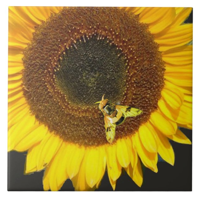 SUNFLOWER AND HONEY BEE ,BEEKEEPING, BEEKEPER FLIESE (Vorderseite)