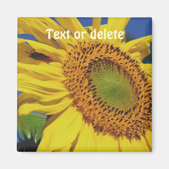 Sunflower And Insect Guest Personalized Magnet (Vorne)