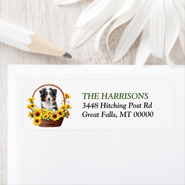 Sunflower Basket Australian Shepherd Dog Adresse (Insitu)