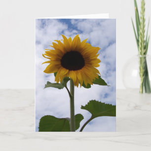 Sunflower Card Karte