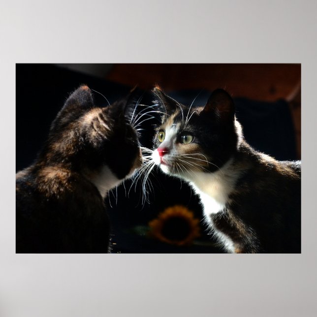 Sunflower & Cats Gift Wrap – Dramatic Feline Momen Poster (Vorne)