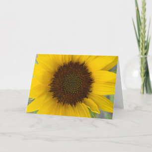 Sunflower Dark Center Karte