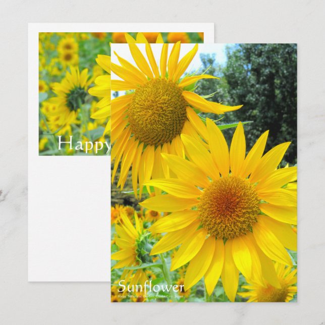 Sunflower：Flat Greeting Card Karte (Vorne/Hinten)