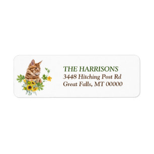 Sunflower Ginger Maine Coon Cat