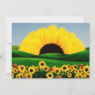 SUNFLOWER HILL EINLADUNG