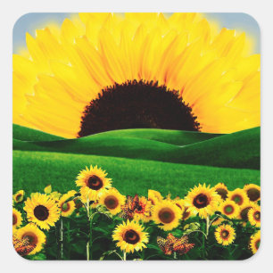 SUNFLOWER HILL QUADRATISCHER AUFKLEBER