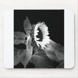 Sunflower in Black and White Mousepad