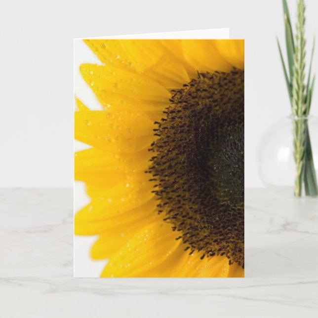 sunflower karte (Vorderseite)