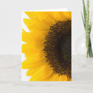 sunflower karte