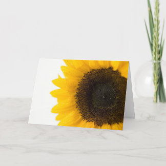 sunflower karte