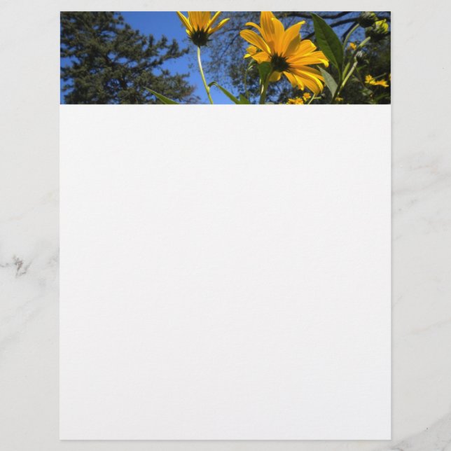 Sunflower N Sky Letterhead (Vorderseite)