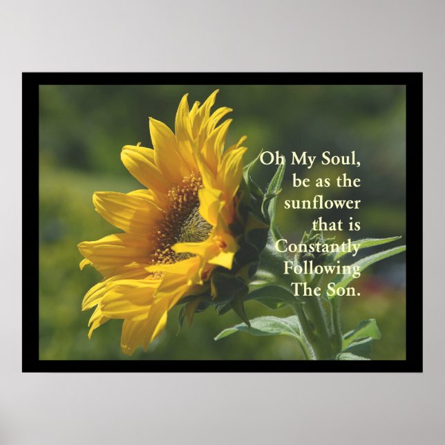 SunFlower Poster (Vorne)