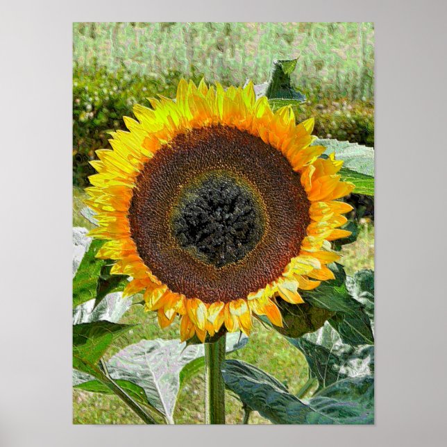 SUNFLOWER POSTER (Vorne)
