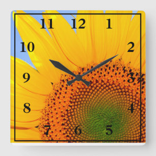Sunflower Quadratische Wanduhr