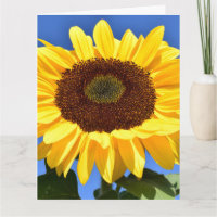 SUNFLOWER Religious BEILEID GREETING CARD