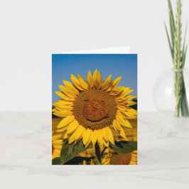 Sunflower Smile Karte