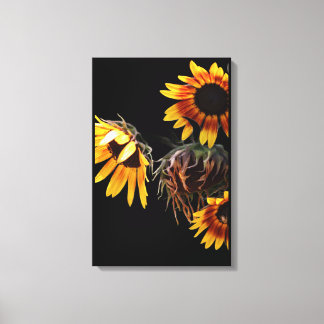Sunflower Stretched Canvas Print Leinwanddruck