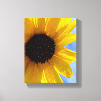 ~SuNFLoWeR TRio oN Leinwand #1~
