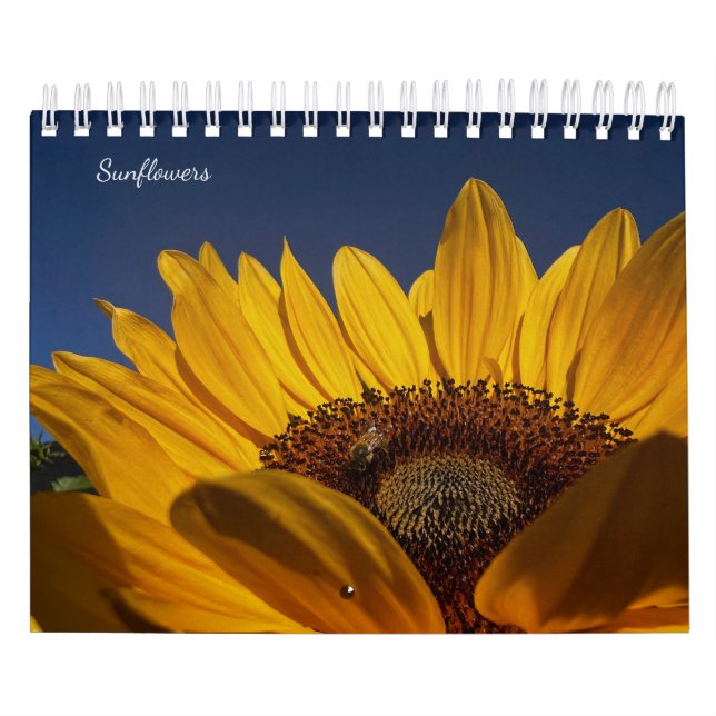 Sunflowers (2nd edition) kalender (Titelbild)