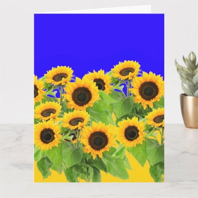 Sunflowers Card Ukraine Flag Colors Peace Freedom Karte (Kleine Pflanze)