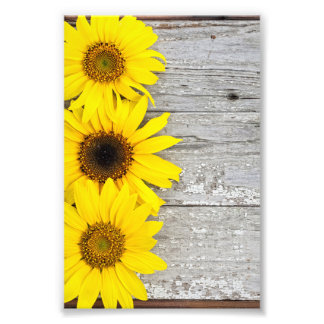 Sunflowers Fotodruck