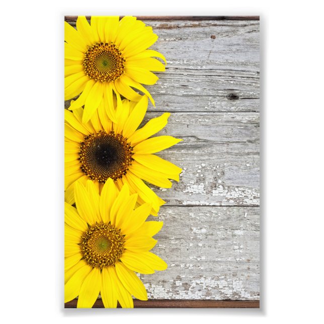 Sunflowers Fotodruck (Vorne)