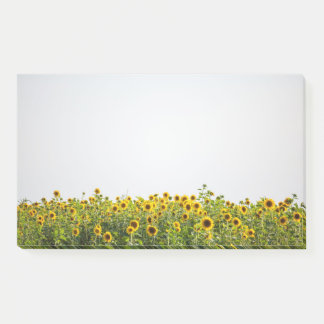 Sunflowers in a Field Post-it Klebezettel