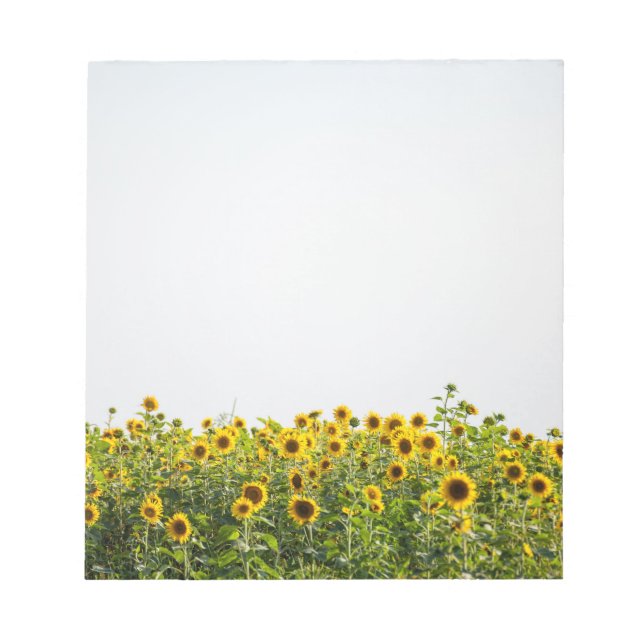 Sunflowers in Field Notizblock (Vorderseite)