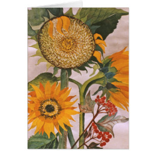 Sunflowers Watercolor Painting 3 Flower Note Card