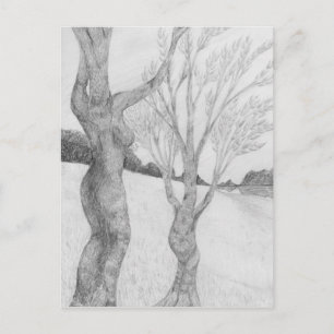 SunGathering Postcard Postkarte