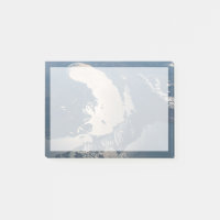 Sunglint Beams Off Lake Michigan