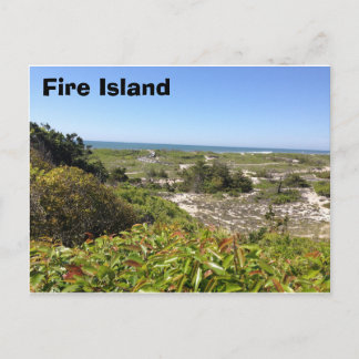 Sunken Forrest, Fire Island, NY Postkarte