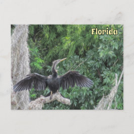 Sunlit Anhinga auf einer Mossy-Zweigstelle - Ölgem Postkarte