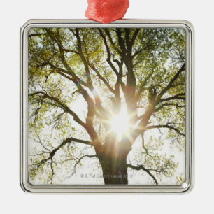 Sunlit Baum Silbernes Ornament
