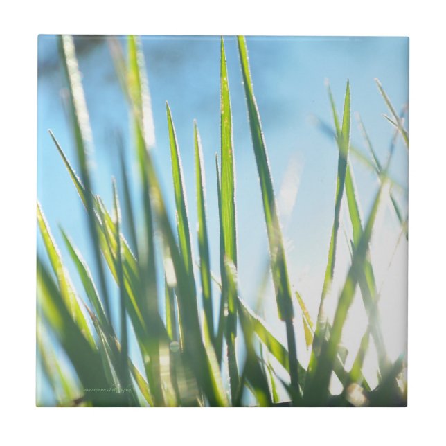 Sunlit Blades Fliese (Vorderseite)
