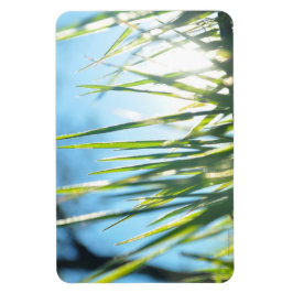 Sunlit Blades Magnet